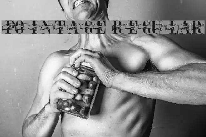 Pointage Regular Font examples