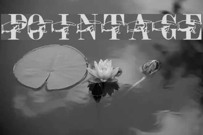 Pointage フォント examples