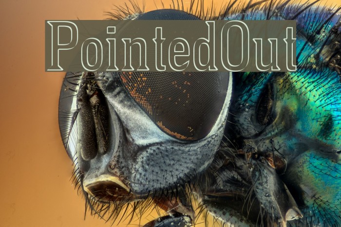 PointedOut Font examples