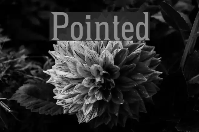 Pointed Font examples