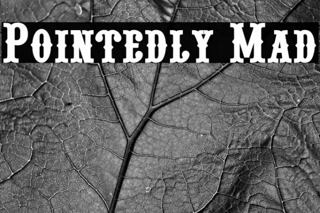 Pointedly Mad Font examples