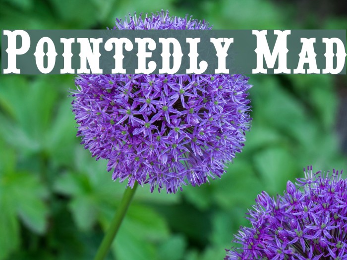 Pointedly Mad Example 1