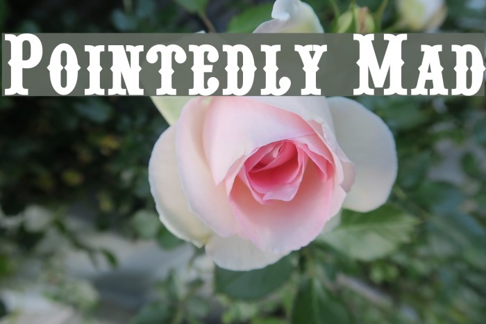 Pointedly Mad Example 3