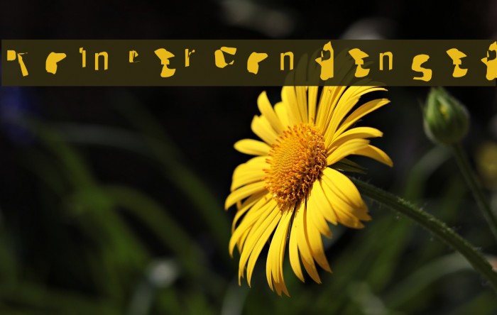 Pointer Condensed Font examples