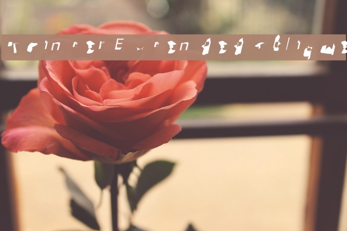 Pointer Extended Oblique Font examples