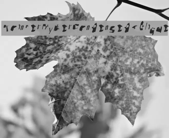 Pointer HyperCondensed Oblique Font examples