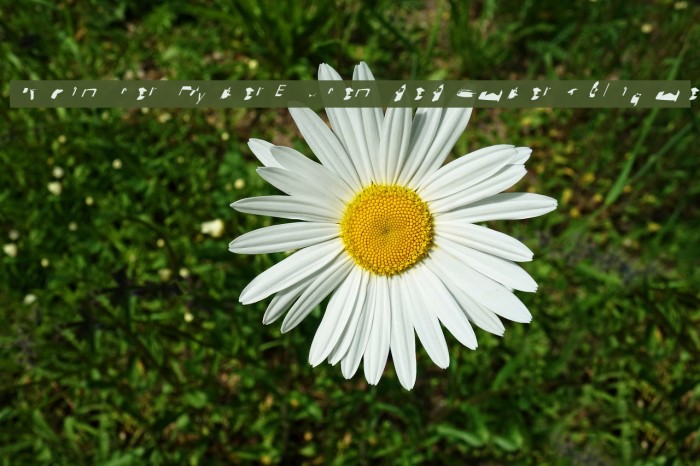 Pointer HyperExtended SuperOblique Example 2