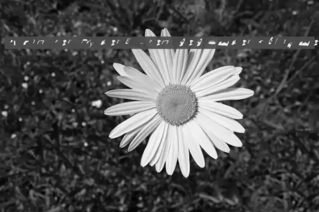 Pointer HyperExtended SuperOblique Font examples