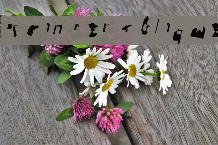Pointer Oblique Font examples