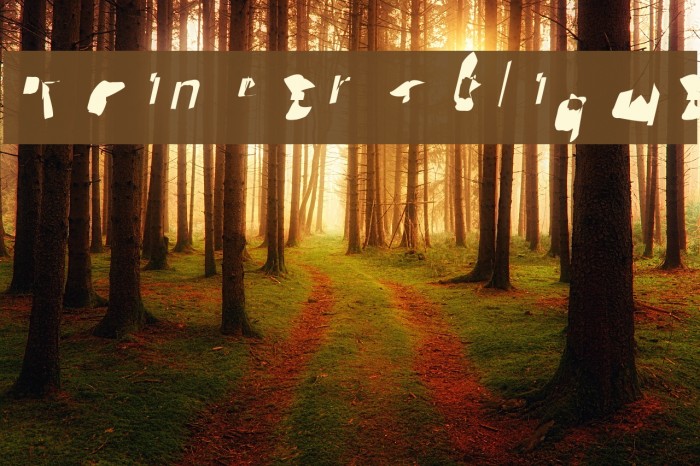 Pointer Oblique Font examples