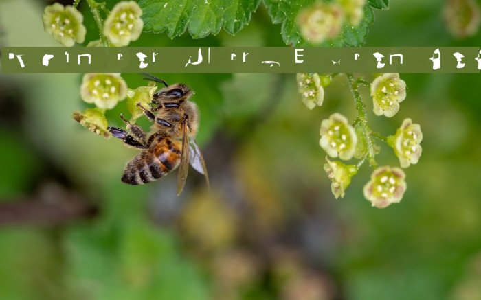 Pointer UltraExtended Example 3