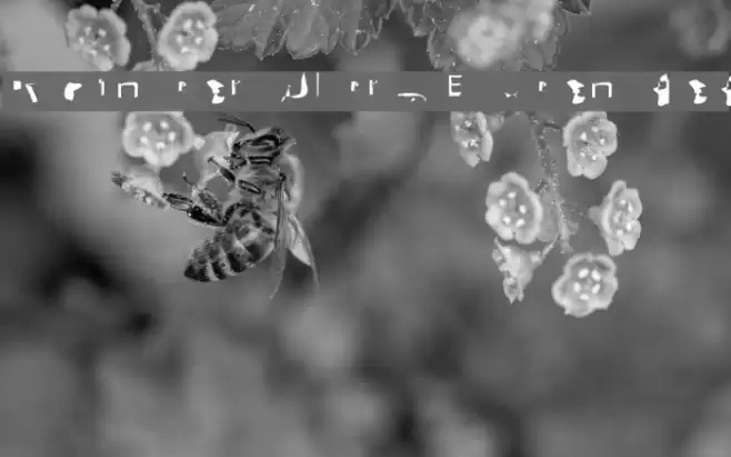 Pointer UltraExtended Font examples