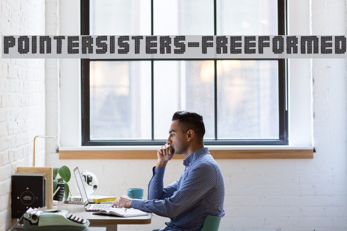 PointerSisters-Freeformed フォント examples