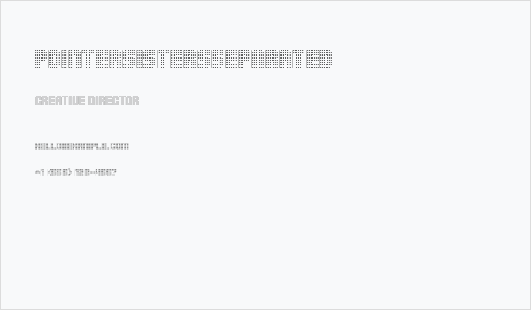 PointerSistersSeparated Business Card