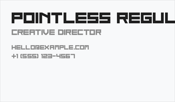 Pointless Regular Business Card