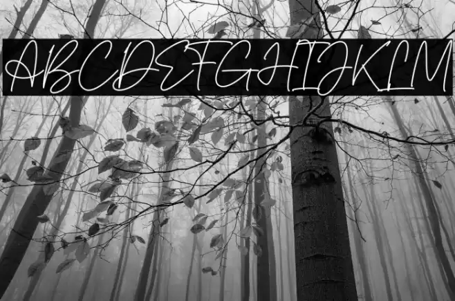 Pointone Fuentes examples