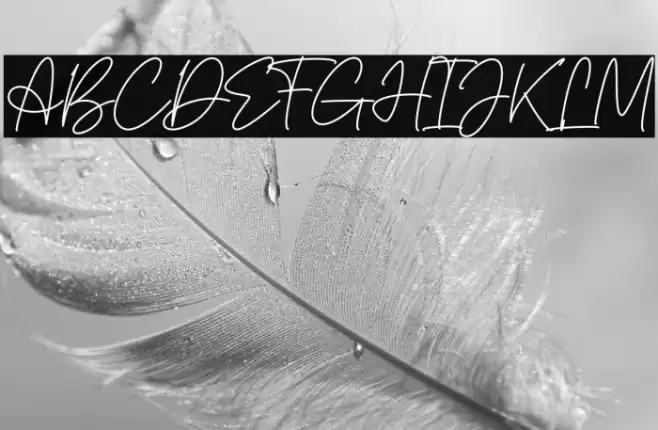 Pointone Fuentes examples