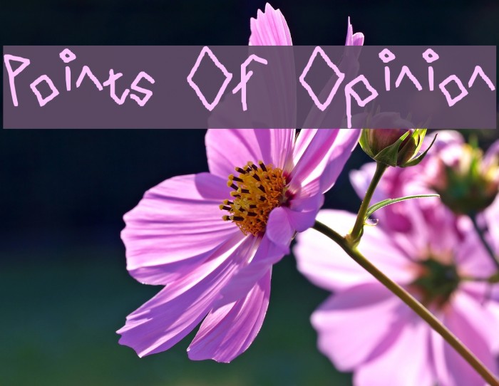 Points Of Opinion Font examples