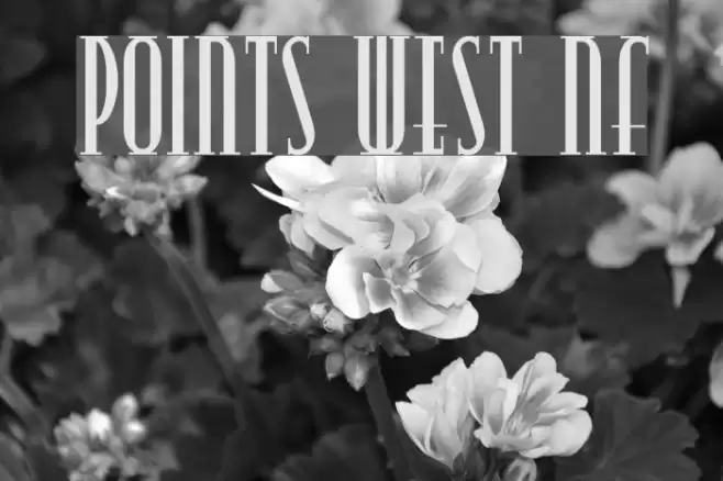Points West NF Font examples