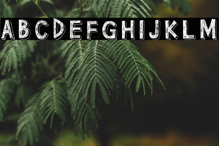 Pointy Solid Example 2