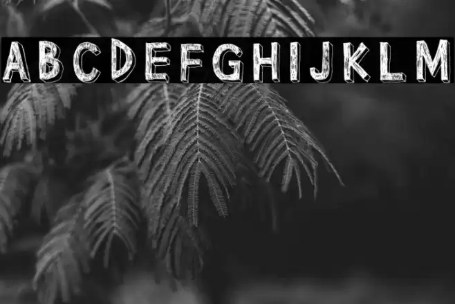 Pointy Solid Font examples