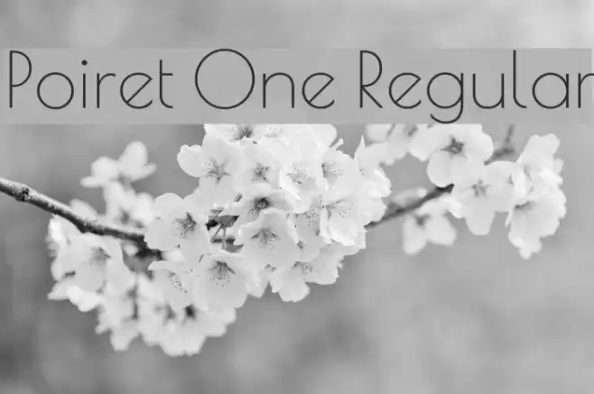 Poiret One Regular Font examples