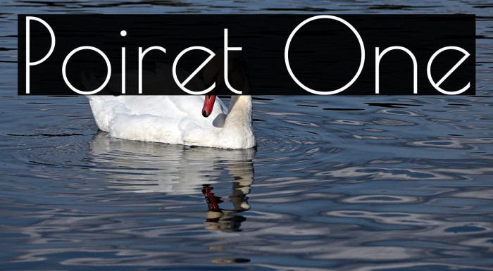 Poiret One Font examples