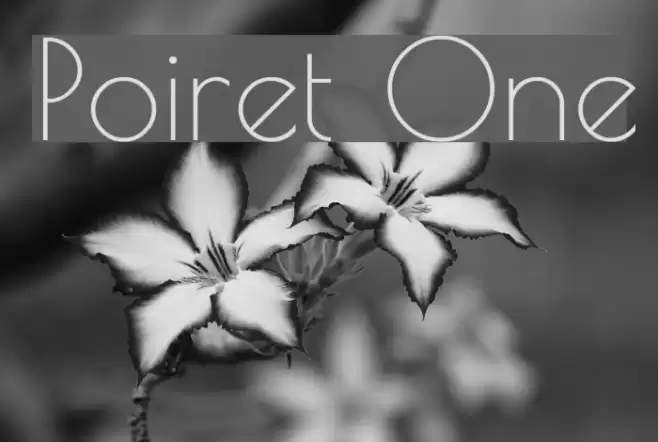 Poiret One フォント examples
