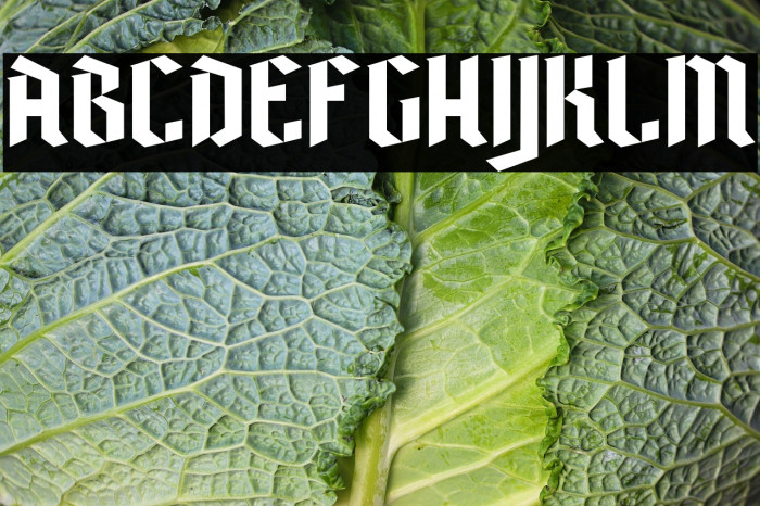 Poison Freak Regular Example 3