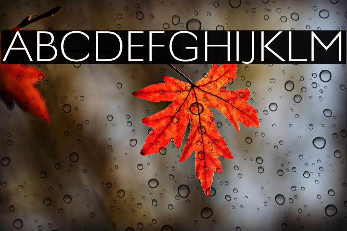 Poison Regular Example 1