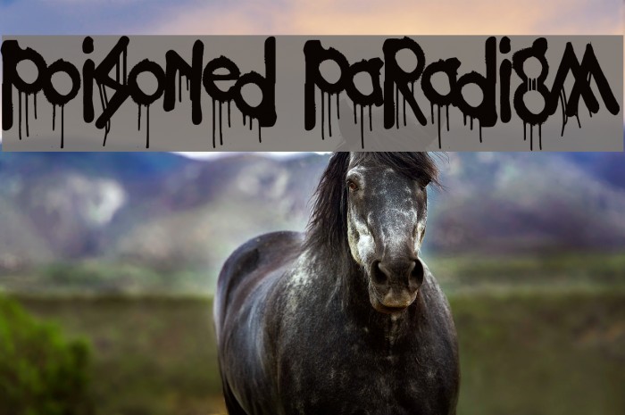 Poisoned Paradigm Font examples