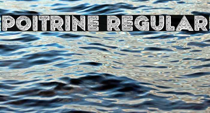 Poitrine Regular Example 3