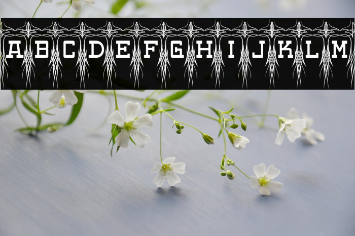 Poke-Regular Example 3