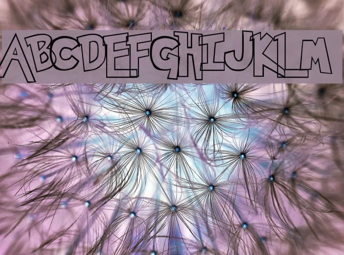 Pokemon  Hollow Example 1