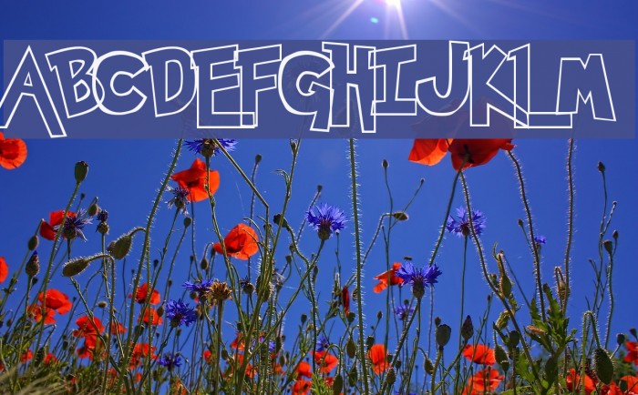 Pokemon  Hollow Example 2