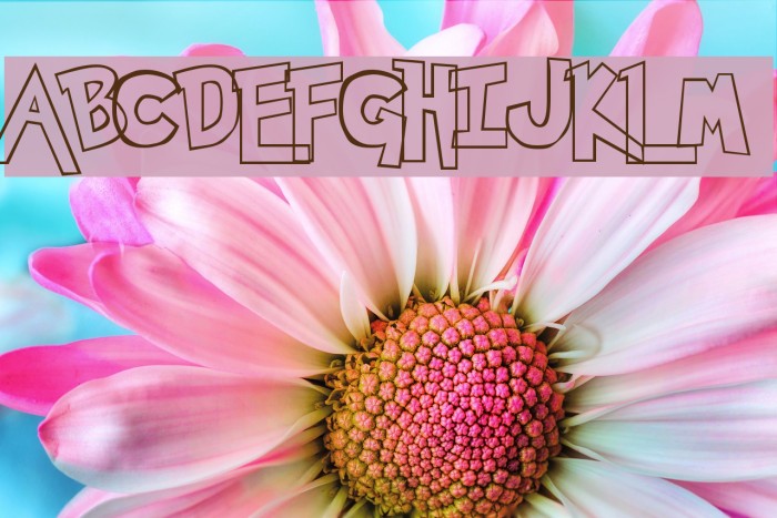 Pokemon  Hollow Example 3