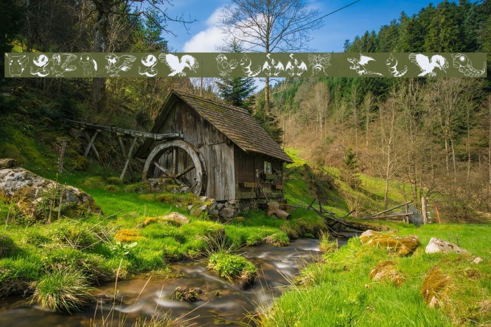 Pokemon Kiddy Ding Example 2