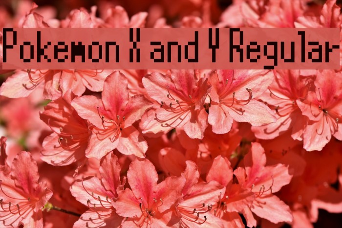 Pokemon X and Y Regular Example 1