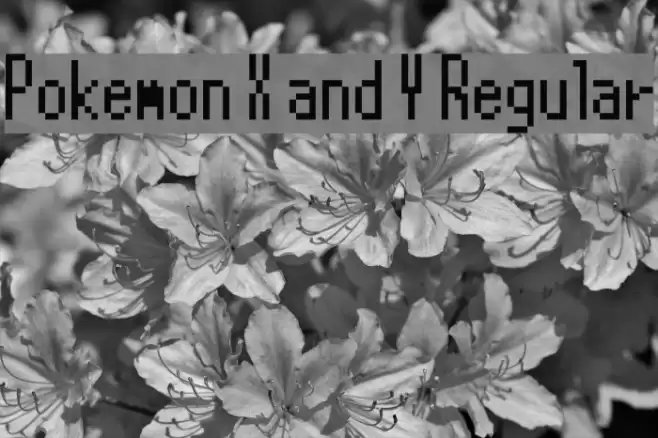 Pokemon X and Y Regular Font examples