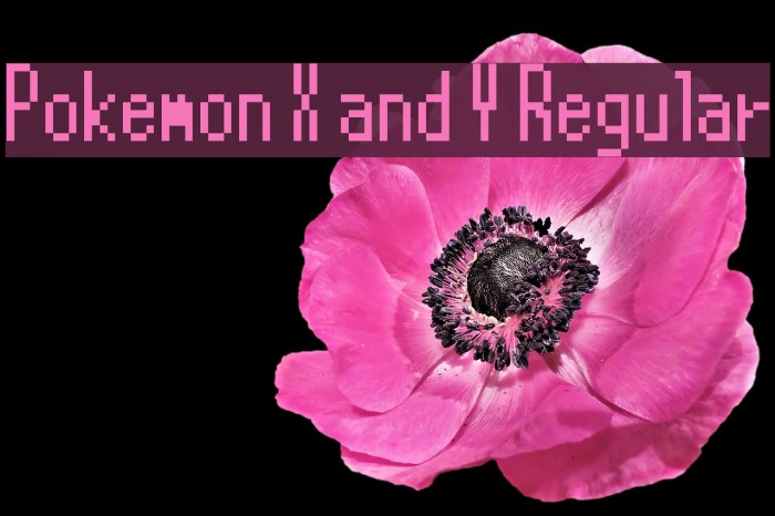 Pokemon X and Y Regular Example 2