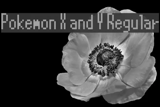 Pokemon X and Y Regular Font examples