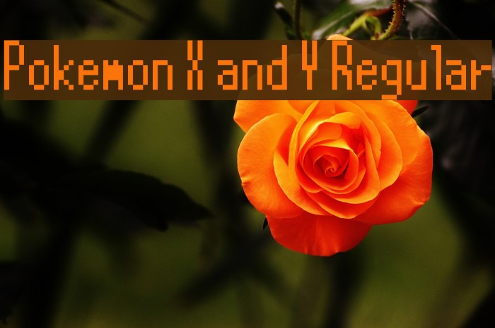 Pokemon X and Y Regular Example 3