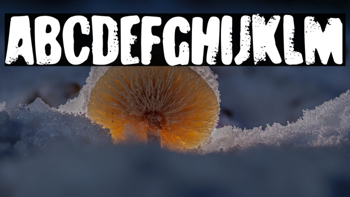 Poker Nightmare Example 3