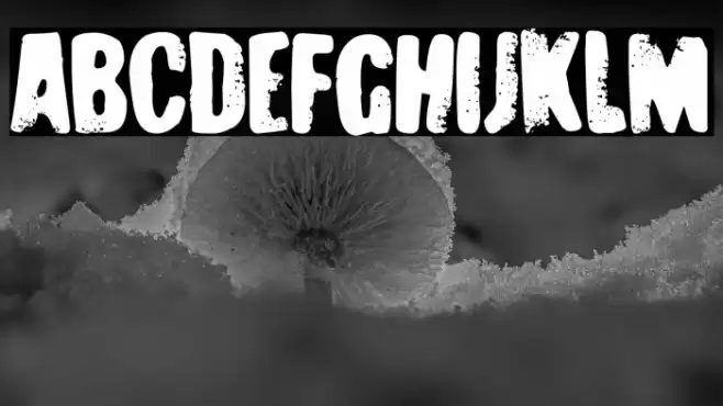 Poker Nightmare Schriftart examples