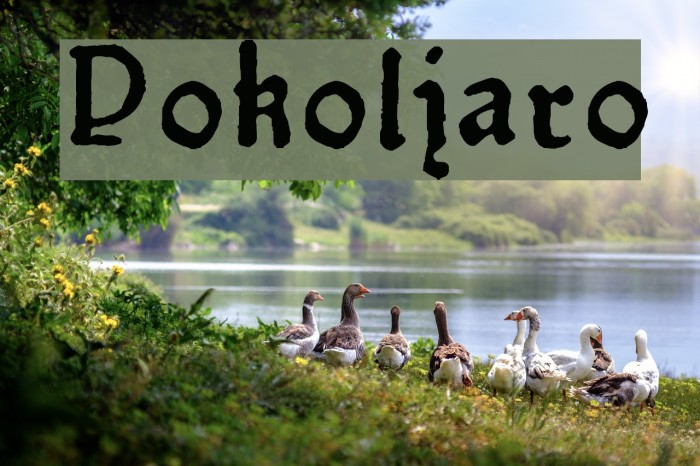 Pokoljaro Font examples