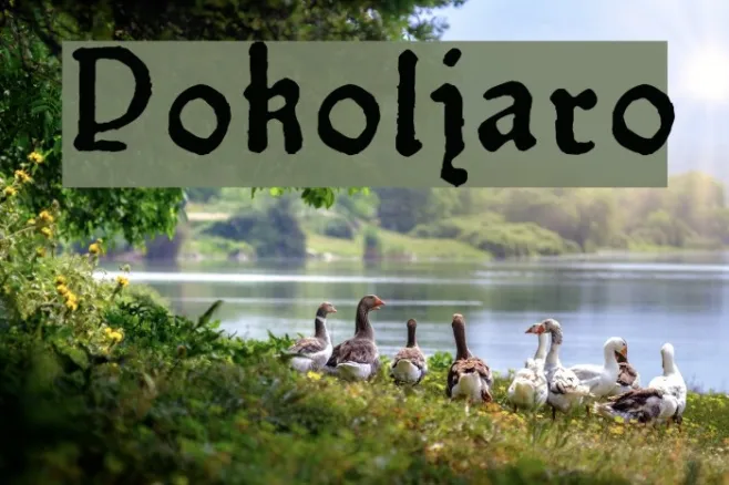 Pokoljaro Example 2