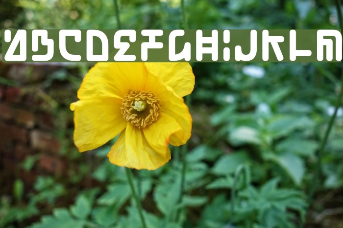 Pokopen Font examples