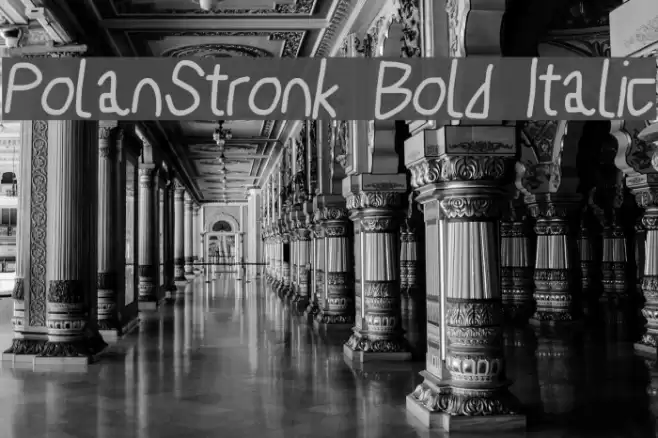 PolanStronk Bold Italic Font examples