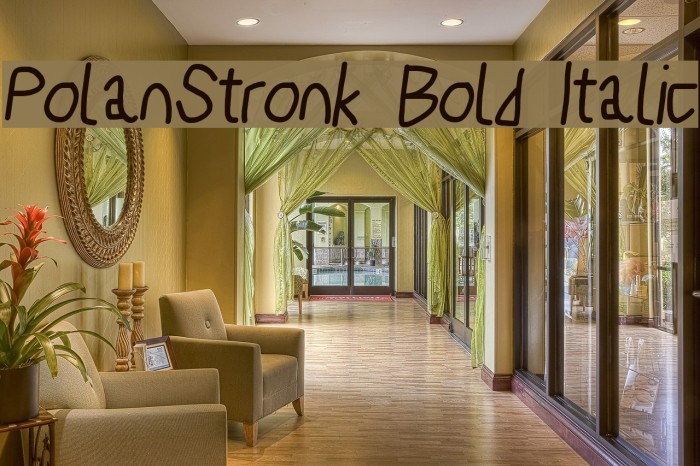 PolanStronk Bold Italic Example 3