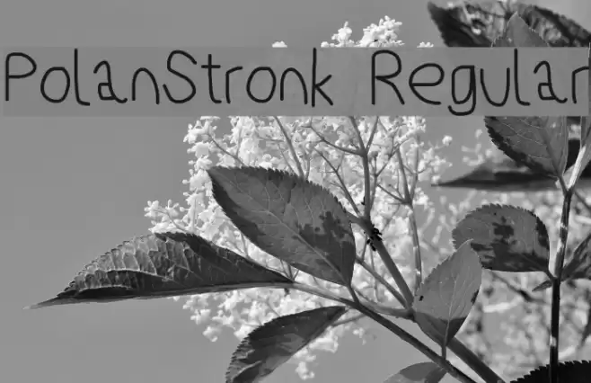 PolanStronk Regular Font examples